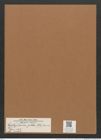 Cystopleura gibba (Ehr.) Kunze (de-Toni-Nr.: Genus 103, Species 3121) Zeichnungen Sammlung Grunow Mappe 03358 (Herbarium_W_Grunow_drawings_Folder_03358)